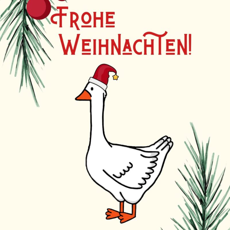 Weihnachtskarte Gans - Motiv 1