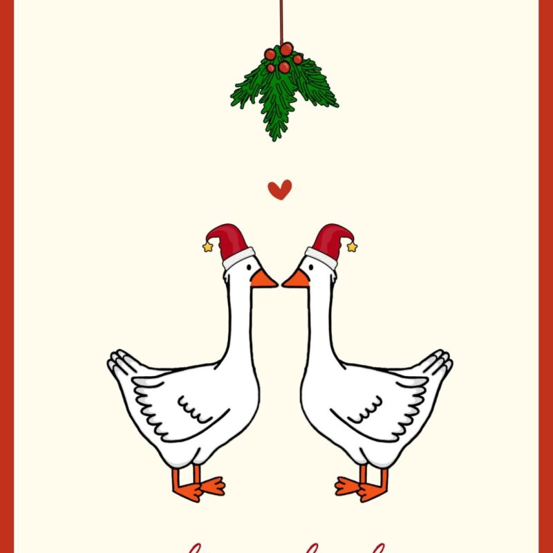 Weihnachtskarte Gans - Motiv 2