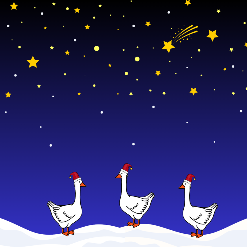 Weihnachtskarte Gans - Motiv 4